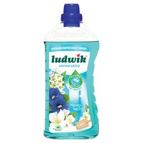 Ludwik Odor Eliminator Płyn uniwersalny 1 l