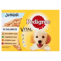 Pedigree Vital Protection Junior w galarecie Karma pełnoporcjowa 1,2 kg (12 x 100 g)