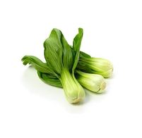 KAPUSTA PAK CHOI 1 SZTUKA OPAKOWANIE