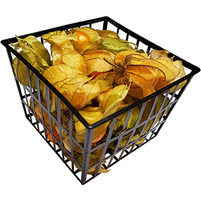 PHYSALIS 100G