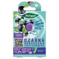 Herbapol Cukierki odświeżające z lnem i cynkiem czarna porzeczka kwiat czarnego bzu 20 g (8 sztuk)