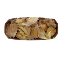 PHYSALIS 100G