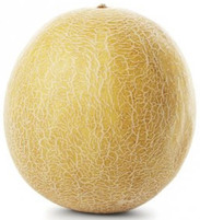 MELON GALIA