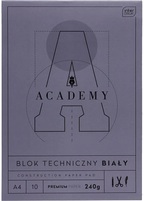 Interdruk Academy  Blok techniczny A4 10 kartek