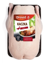 DROSED KACZKA PEKIN Z SZYJĄ