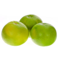 GREJPFRUIT ZIELONY