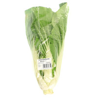 KAPUSTA PAK CHOI