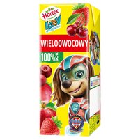 Hortex Leon i Przyjaciele Sok 100 % wieloowocowy 200 ml