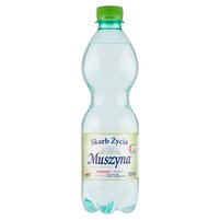 Muszyna Skarb Życia Naturalna woda mineralna wysokozmineralizowana gazowana 500 ml