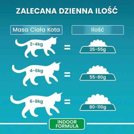 PURINA ONE Bifensis Indoor Formula Karma dla kotów bogata w indyka 800 g (6)