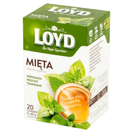 Loyd Herbatka ziołowa mięta 40 g (20 x 2 g) (2)