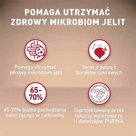 PURINA ONE Mini/Small Active Karma dla psów bogata w kurczaka z ryżem 800 g (3)