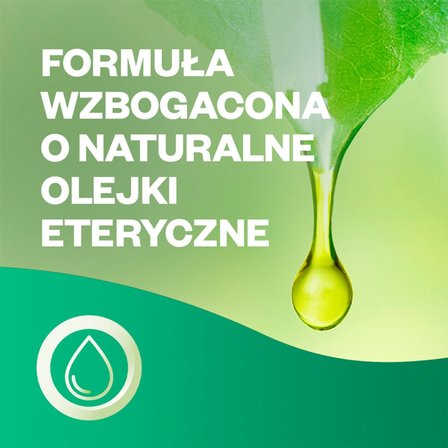 Air Wick Active Fresh Odświeżacz automatyczny z formułą na bazie wody i wkład morska bryza 228 ml (9)