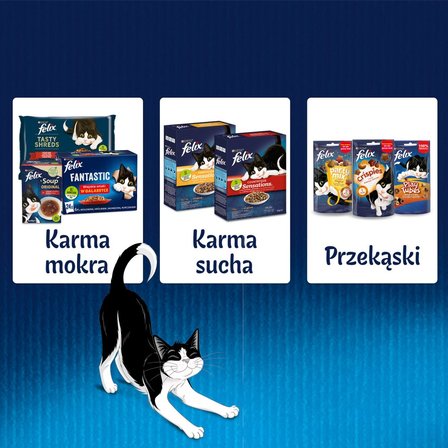 Felix Fantastic Karma dla kotów rybne smaki w galaretce 340 g (4 x 85 g) (8)