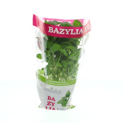 BAZYLIA XXL (1)