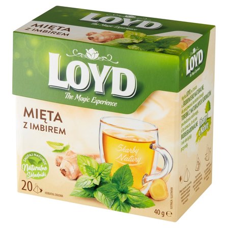 Loyd Herbatka ziołowa mięta z imbirem 40 g (20 x 2 g) (2)