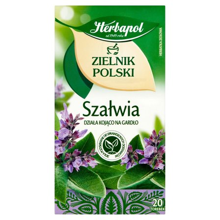 Herbapol Zielnik Polski Herbatka ziołowa szałwia 24 g (20 x 1,2 g) (1)