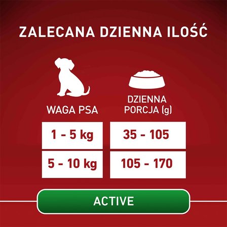 PURINA ONE Mini/Small Active Karma dla psów bogata w kurczaka z ryżem 800 g (6)