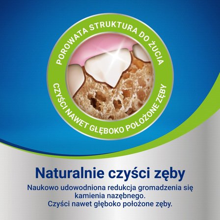 Dentalife Uzupełniająca karma dla dorosłych psów dla dużych ras 142 g (4 sztuki) (4)