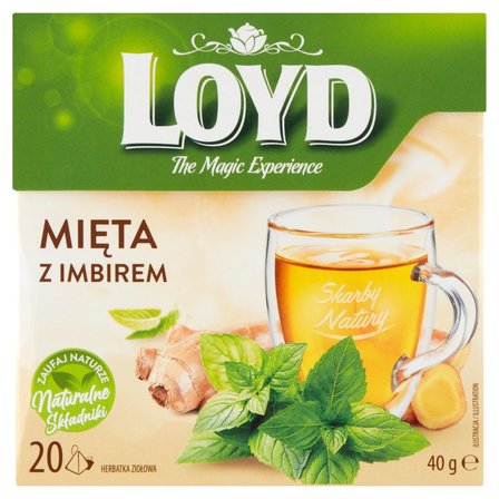 Loyd Herbatka ziołowa mięta z imbirem 40 g (20 x 2 g) (1)