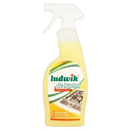 Ludwik do kuchni Mleczko do czyszczenia kuchni 750 ml (1)