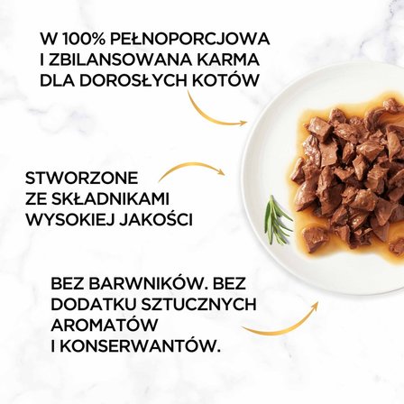 Gourmet Gold Karma dla kotów kawałki w smakowitym sosie z wołowiną 85 g (3)