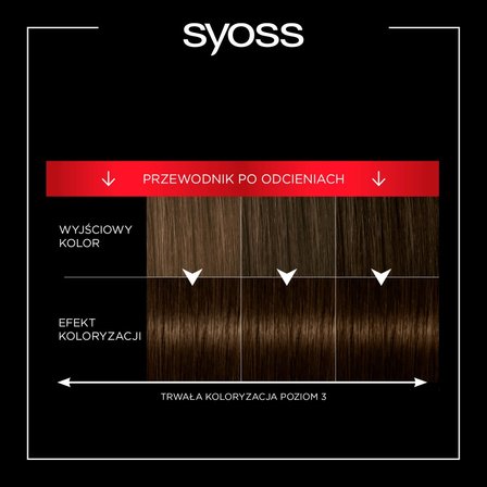 Syoss Permanent Coloration Farba do włosów trwale koloryzująca 4-1 średni brąz (4)