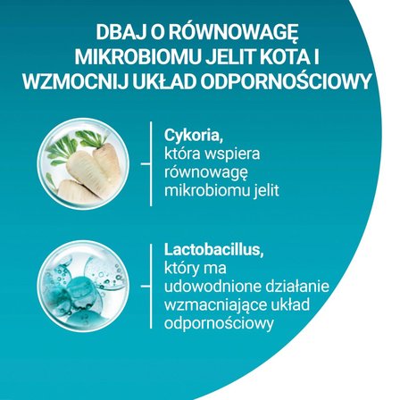 PURINA ONE Bifensis Junior Karma dla kociąt bogata w kurczaka 800 g (3)