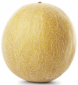 MELON GALIA (1)