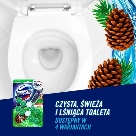 Domestos Power 5 Pine Kostka toaletowa 2 x 55 g (3)