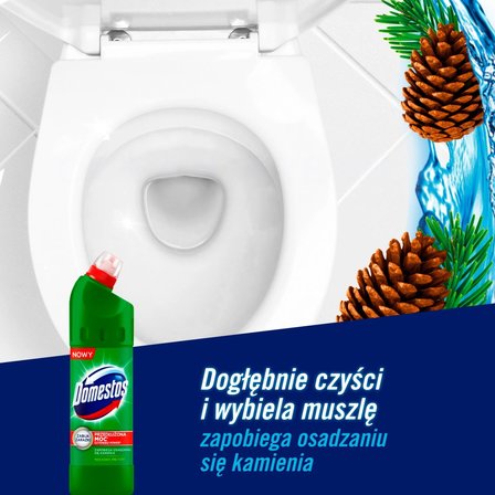 Domestos Przedłużona Moc Pine Fresh Płyn czyszcząco-dezynfekujący 1 l (5)