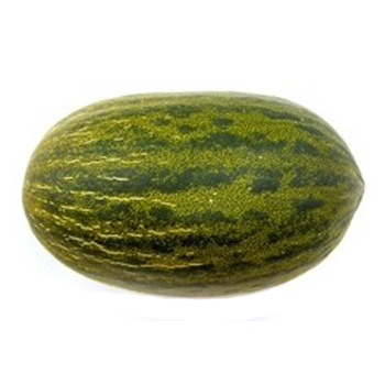 MELON ZIELONY (1)