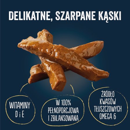 Felix Tasty Shreds Karma dla dorosłych kotów wiejskie smaki w sosie 320 g (4 x 80 g) (3)