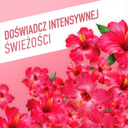 Ajax Fête des Fleurs Hibiskus Płyn uniwersalny 1L (6)