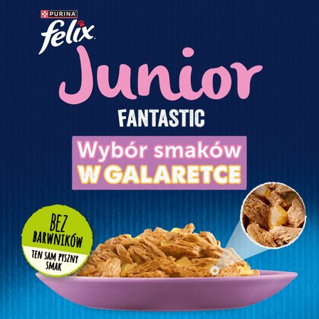 Felix Fantastic Junior Karma dla kociąt wybór smaków w galaretce 340 g (4 x 85 g) (3)