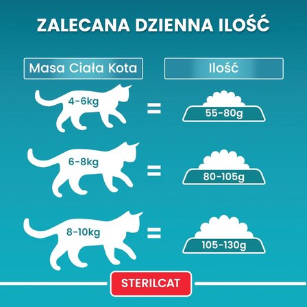 PURINA ONE Bifensis Sterilcat Karma dla kotów bogata w łososia 800 g (6)