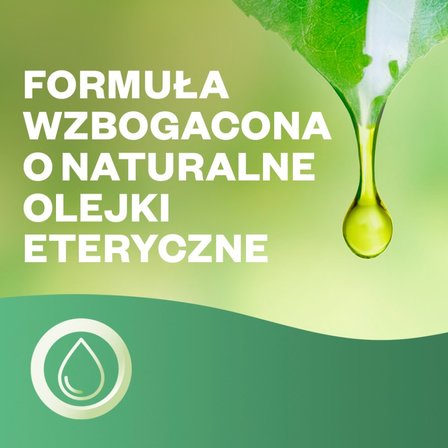 Air Wick Essential Oils Elektryczny odświeżacz i wkład drzewo sandałowe i zmysłowa wanilia 19 ml (6)