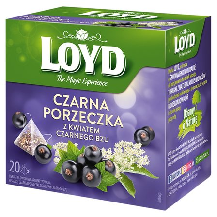 Loyd Herbatka owocowa aromatyzowana o smaku czarnej porzeczki z kwiatem czarnego bzu 40 g (20 x 2 g) (2)