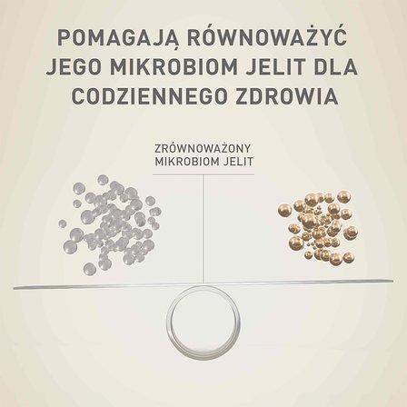 PURINA ONE Mini/Small Adult Karma dla psów bogata w wołowinę z ryżem 800 g (4)