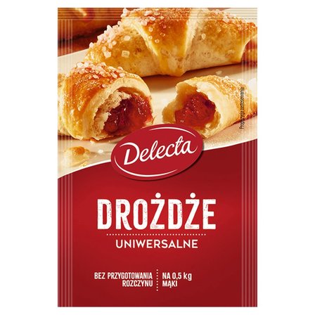 Delecta Drożdże uniwersalne 8 g (1)