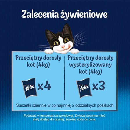 Felix Fantastic Junior Karma dla kociąt wybór smaków w galaretce 1,02 kg (12 x 85 g) (8)