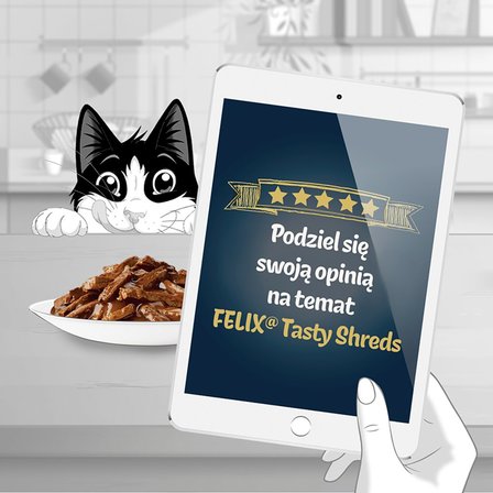 Felix Tasty Shreds Karma dla dorosłych kotów wiejskie smaki w sosie 320 g (4 x 80 g) (7)