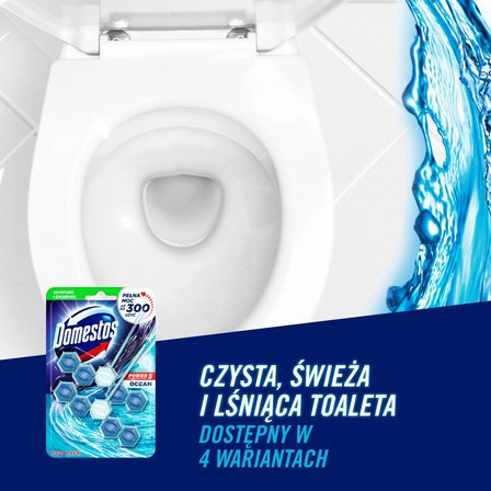 Domestos Power 5 Ocean Kostka toaletowa 2 x 55 g (3)