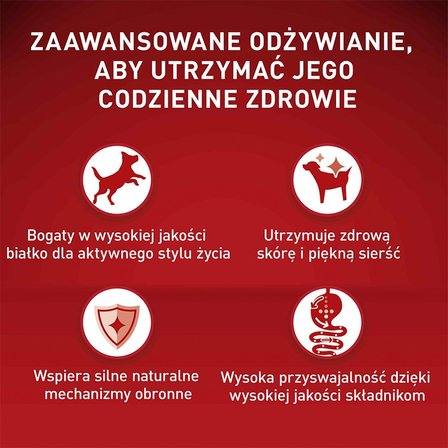 PURINA ONE Mini/Small Sensitive Karma dla psów z łososiem i ryżem 800 g (2)