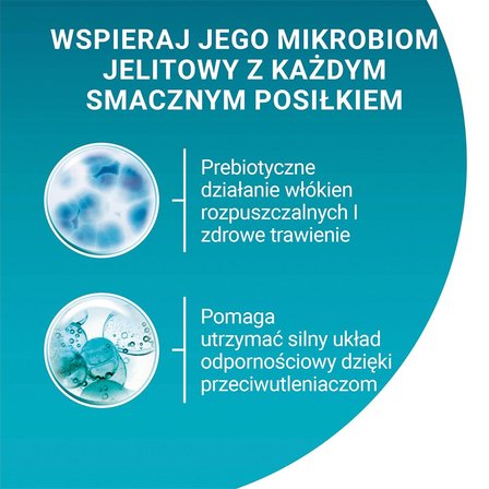 PURINA ONE Indoor Formula Karma dla kotów z tuńczykiem i zielona fasolką 85 g (3)