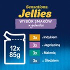 Felix Sensations Jellies Karma dla kotów wybór smaków w galaretce 1,02 kg (12 x 85 g) (5)