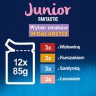 Felix Fantastic Junior Karma dla kociąt wybór smaków w galaretce 1,02 kg (12 x 85 g) (5)