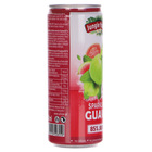 Jungle Fruits Napój gazowany z sokiem z guawy 330 ml (10)