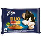 Felix Duo Karma dla kotów wiejskie smaki w galaretce 340 g (4 x 85 g) (2)