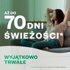 Air Wick Paradise Island Wkład do automatycznego odświeżacza powietrza mango & brzoskwinia 250 ml (6)